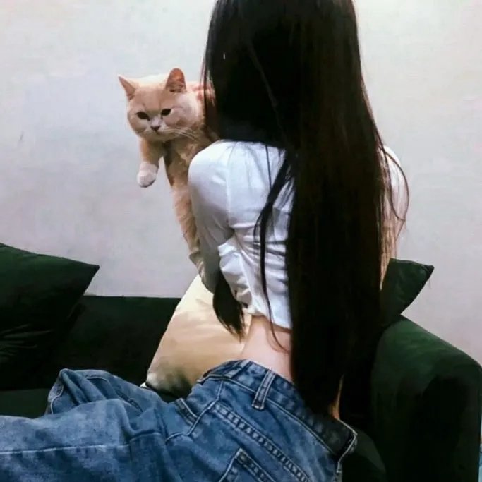 51区 在线观看